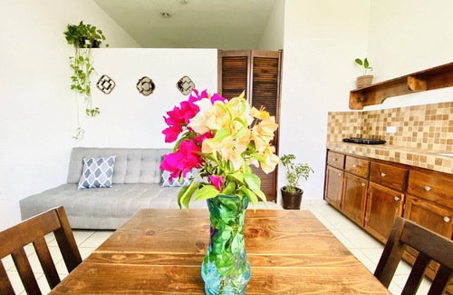 Downtown Cabo San Lucas Apartment | APARTMENT 5min to MARINA & 15 minutes walking to MEDANO BEACH!