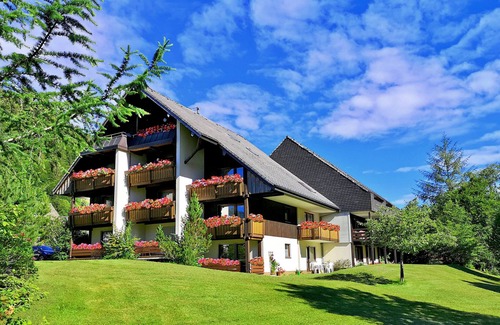 Menzenschwand-Hinterdorf Apartment | Apartment A6 House Albmatte