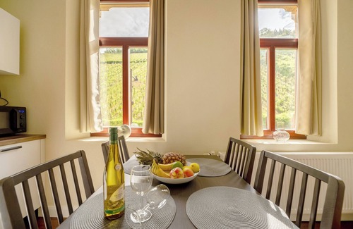 Traben-Trarbach Apartment | Apartment 'Alte Stadtvilla Am Weinberg 4' with Shared Garden and Wi-Fi