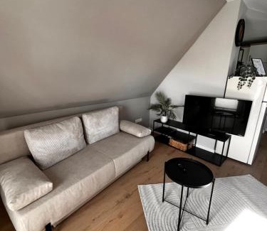 Salzbergen Apartment | Apartment am Emsradweg