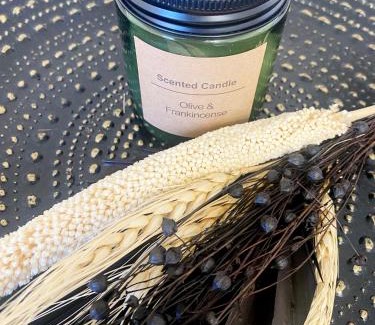 Goeppingen Apartment | Apartment ANi, E-Parkplatz Göppingen 2Zi, 60qm zentrale Wohnung, Zweifamilienhaus, Terrasse, Garten, ruhig, direkt an Fahrradstraße, nahe EWS Arena