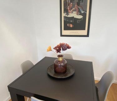 Goeppingen Apartment | Apartment ANi, E-Parkplatz Göppingen 2Zi, 60qm zentrale Wohnung, Zweifamilienhaus, Terrasse, Garten, ruhig, direkt an Fahrradstraße, nahe EWS Arena