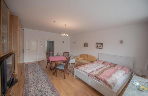 Geidorf Apartment | Apartment