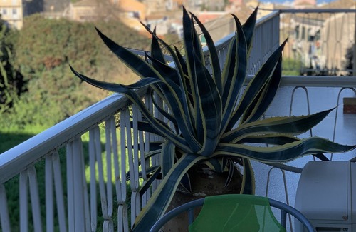 Old Town House | Apartment at he centre of Corfu town,on the second floor with elevator.