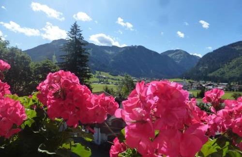 Tannheim House | Apartment Austria