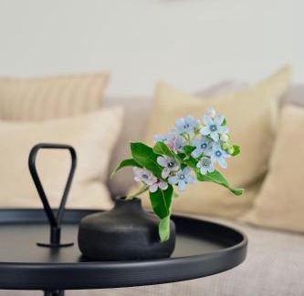 Zirchow Apartment | Apartment B 7 "Pine Hill Resort"