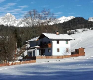 Forstau Apartment | Apartment Bachweg
