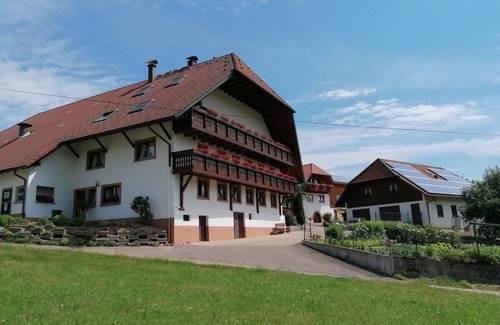 Elzach Apartment | Apartment 'Bergwiese, 75qm' with Mountain View, Private Terrace and Wi-Fi