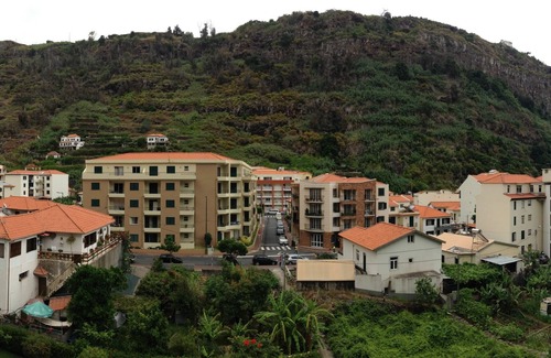 Ribeira Brava Apartment | APARTMENT - BROOM FLOWER