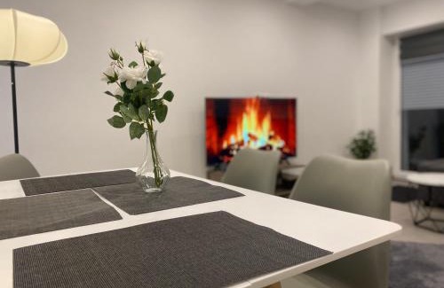 Bad Friedrichshall Apartment | Apartment Business Suite mit 2 Schlafzimmer & Parkplatz, Highspeed WLAN, Fußbodenheizung & Netflix Premium, Zentral zu Audi & Schwarz Gruppe