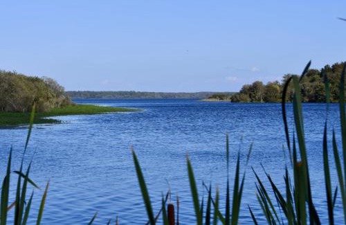 Mimizan Apartment | Apartment Capama-1 by Interhome