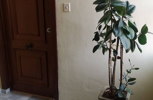 Almeria Centro Apartment | Apartment 'Casa Rosina' close to the Sea with Wi-Fi