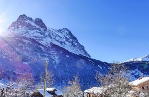 Grindelwald Apartment | Apartment Chalet Mettli-2 by Interhome