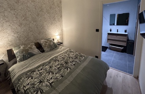 Remiremont Apartment | Apartment Cozy Hyper Center