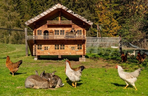 Forstau House | Apartment Dachsteinblick, 2 bedrooms - Familienhotel Unterreith