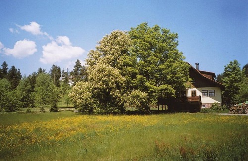 Freudenstadt Apartment | Apartment on the outskirts of the Black Forest National Park