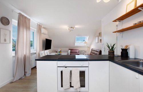 Loerrach Apartment | Apartment 'Dreiländer Apartments Lörrach' with Wi-Fi