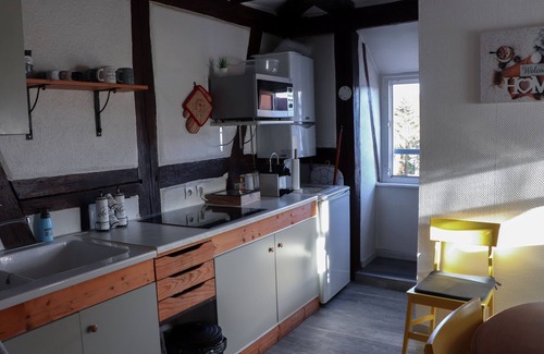 Colmar Centre Ville Apartment | Apartment-Ensuite with Bath-City view