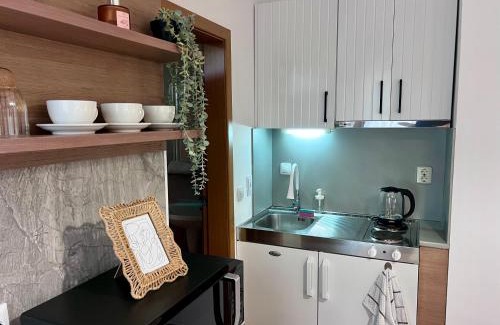 Chaika Apartment | Apartment Excelsior Romantic 50m to the beach