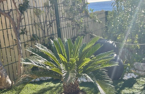 Le Lavandou Apartment | Apartment facing south T2 ground floor with swimming pool