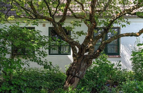 Nordstrand Apartment | Apartment 'Ferienwohnung Eiderente' with Shared Terrace, Shared Garden and Wi-Fi