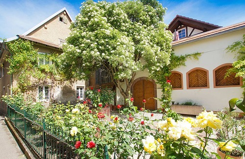 Bickensohl Apartment | Apartment 'Ferienwohnung Winzerhaus' with Shared Garden and Wi-Fi