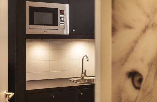 Mitte Apartment | Apartment for 2 guests with 19m² in Nuremberg (158014)