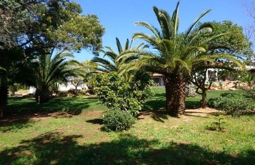 Funchal Apartment | Apartment for 4 people on a large plot with private pool