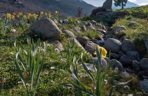 Pla d'Adet Apartment | Apartment for 6 near ski slopes with balcony, pets allowed in Saint-Lary-Soulan