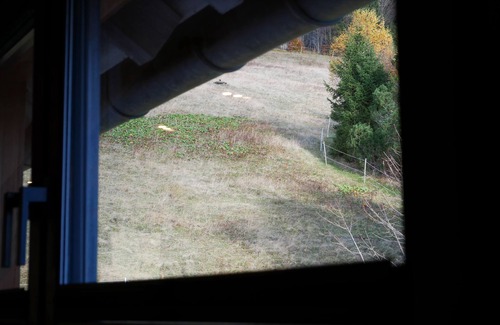 Rinken Apartment | Apartment 'Fuchs' with Mountain View and Wi-Fi