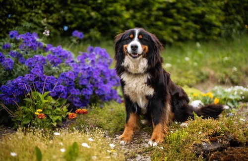 Gellinghausen Apartment | Apartment 'Gänseblümchen' with Shared Terrace and Wi-Fi