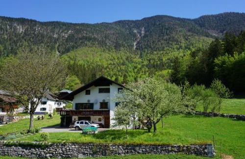 Obertraun Apartment | Apartment Haider 1