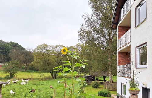 Bad Muenstereifel Apartment | Apartment "Heidi" 1st floor with fantastic valley view: KOLVENBACHER ZIEGENHOF