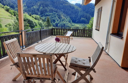 Lautenbach Apartment | Apartment 'Heimatglück 1, Hundefreundlich' with Shared Terrace, Balcony and Wi-Fi