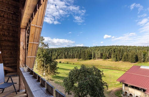 Sankt Georgen im Schwarzwald Apartment | Apartment 'Hiesle' with Private Terrace, Balcony and Wi-Fi