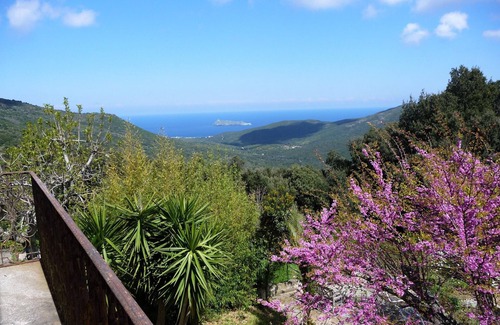 Ersa Apartment | Apartment in a manor house at Corsican Cape