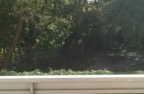 Tours Apartment | Apartment in a Richmond hill residence