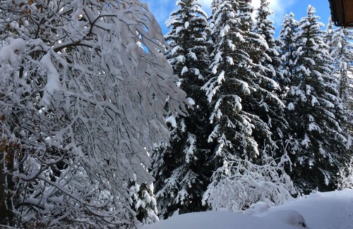 Courchevel Apartment | Apartment In Courchevel 1850 (Jardin Alpin)