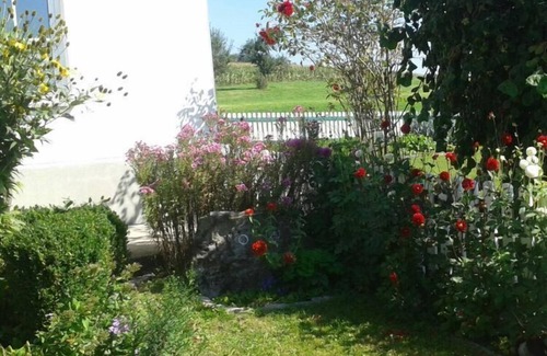 Hergensweiler Apartment | Apartment in Hergensweiler