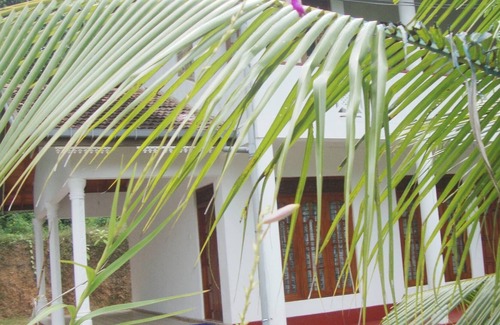 Patuwatha Apartment | Apartment in Hikkaduwa