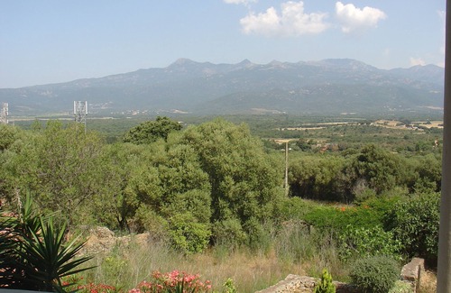 Figari Apartment | APARTMENT IN HOUSE FIGARI