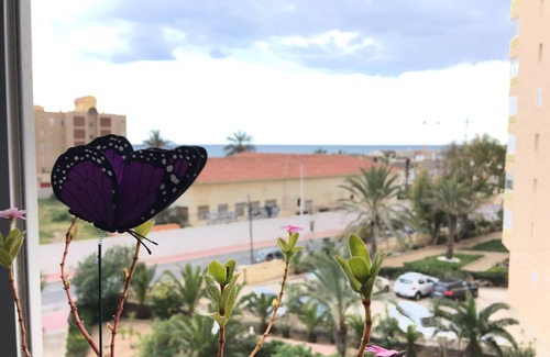 Torrevieja Apartment | APARTMENT IN LA MATA PLAYA - PINEAPPLE HOUSE