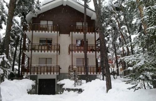 Bardonecchia Apartment | Apartment in pine forest 200 meters from the ski slopes !