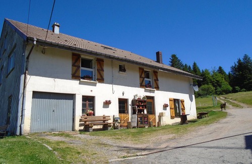 Gerardmer Apartment | Apartment in renovated farmhouse overlooking lake and valley