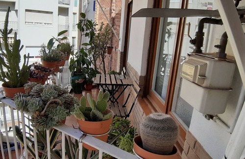 La Font de la Guatlla Apartment | Apartment in the Plaza de España area