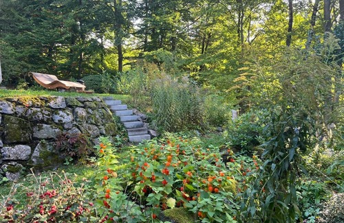Zella-Mehlis Apartment | Apartment in the Thuringian Forest with garden