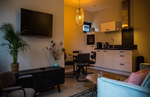 Municipality of Veere Apartment | Apartment in Vrouwenpolder near Beach