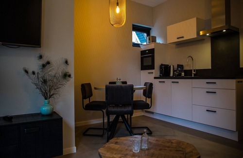 Municipality of Veere Apartment | Apartment in Vrouwenpolder near Beach