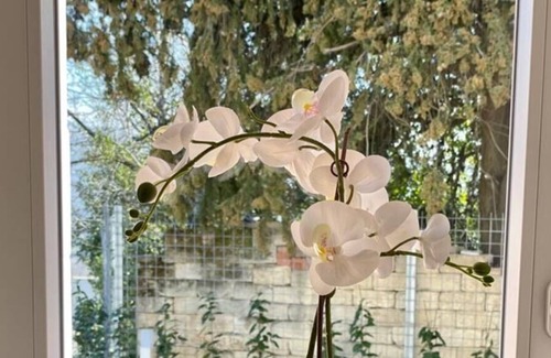 Paternopoli Apartment | Apartment