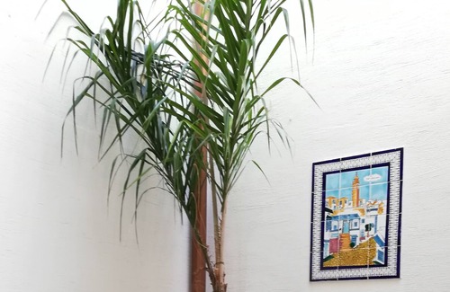 San Vito Lo Capo Apartment | Apartment